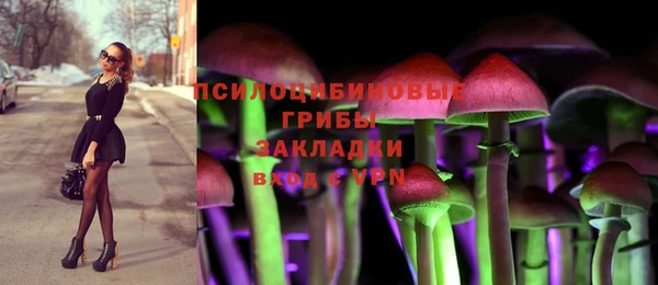 ешки Белоозёрский