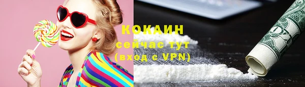 шишки Богородск