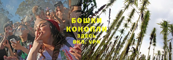 spice Богородицк
