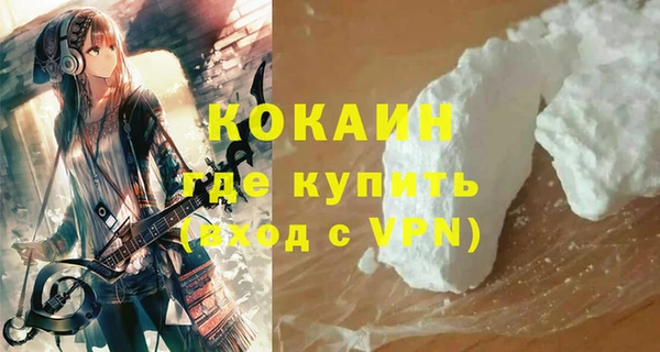 spice Богородицк