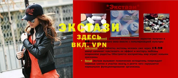spice Богородицк
