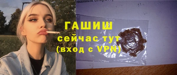 spice Богородицк